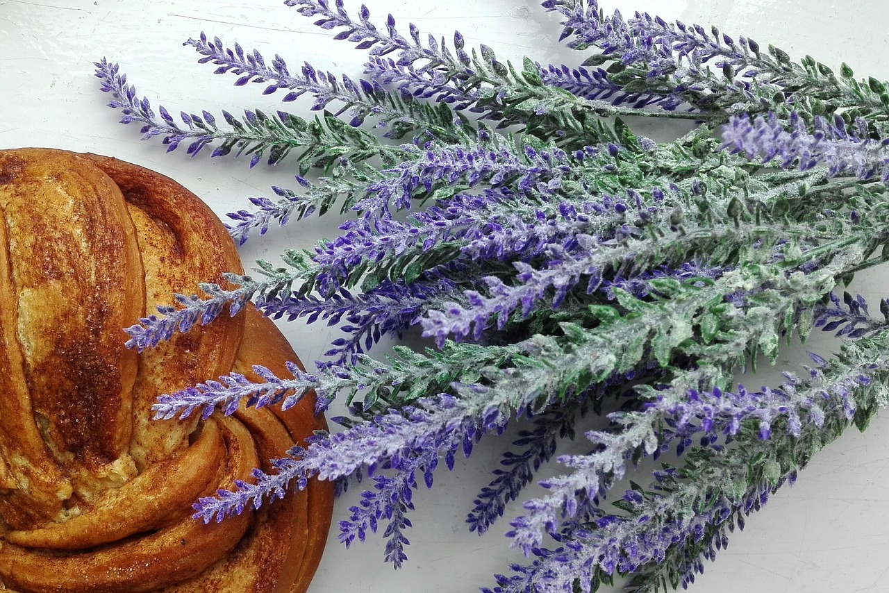 lavender buns food free photo