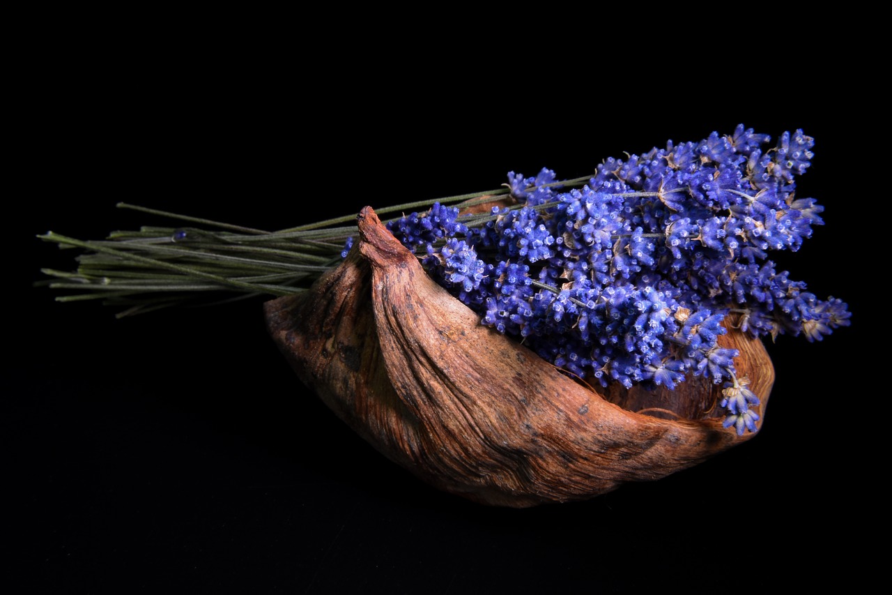 lavender coconut black background free photo