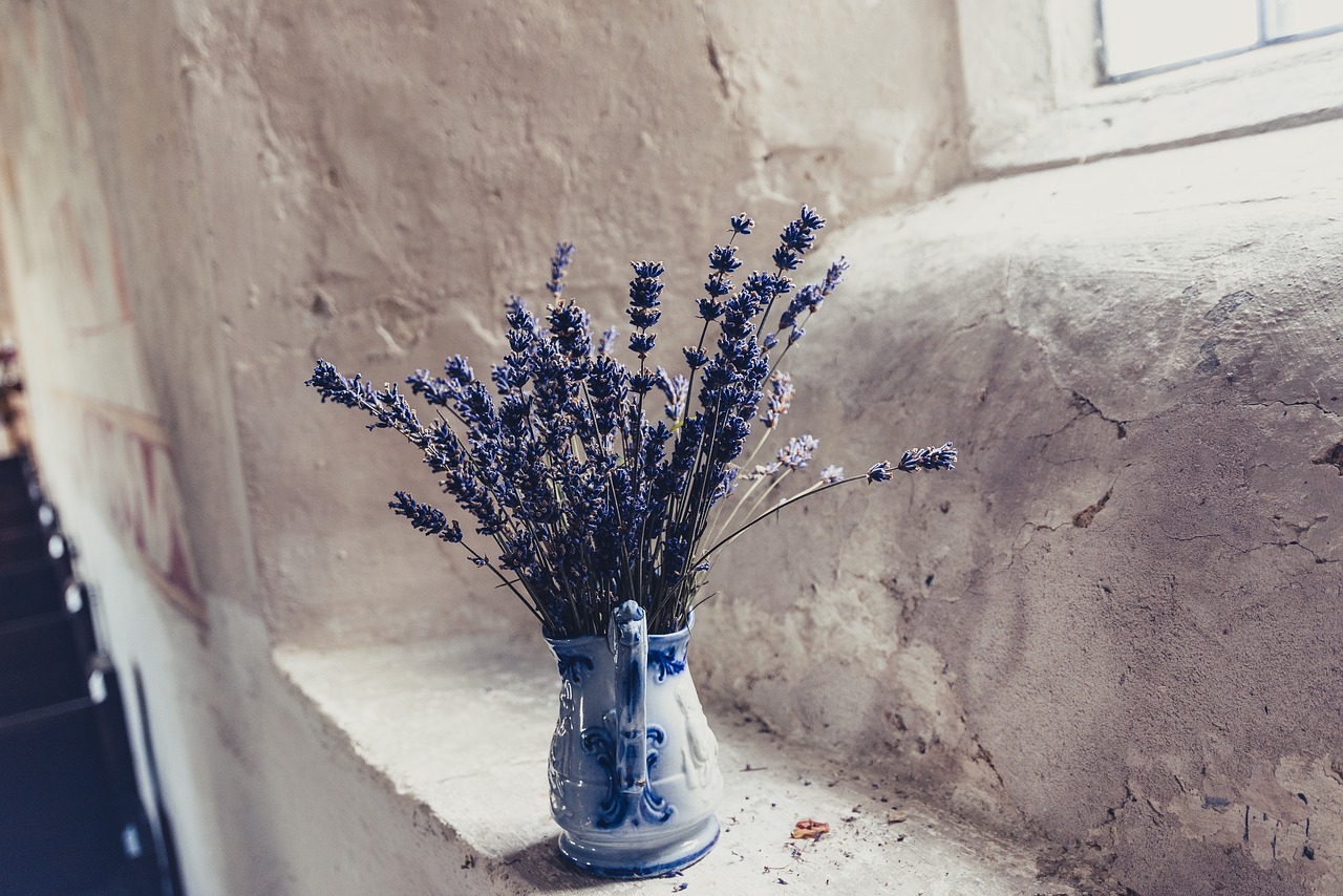 lavender flower vase free photo