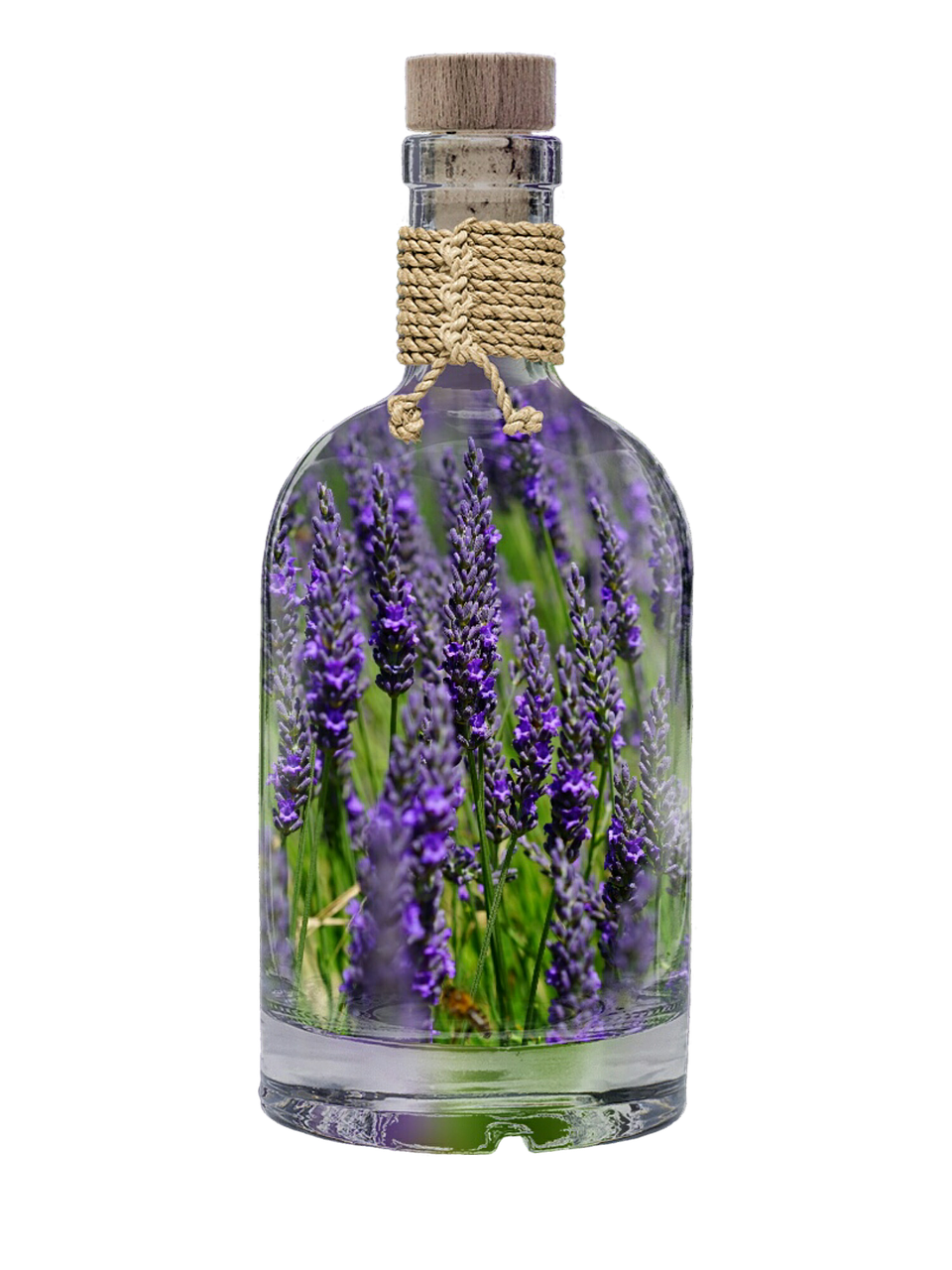 lavender bottle plant free photo