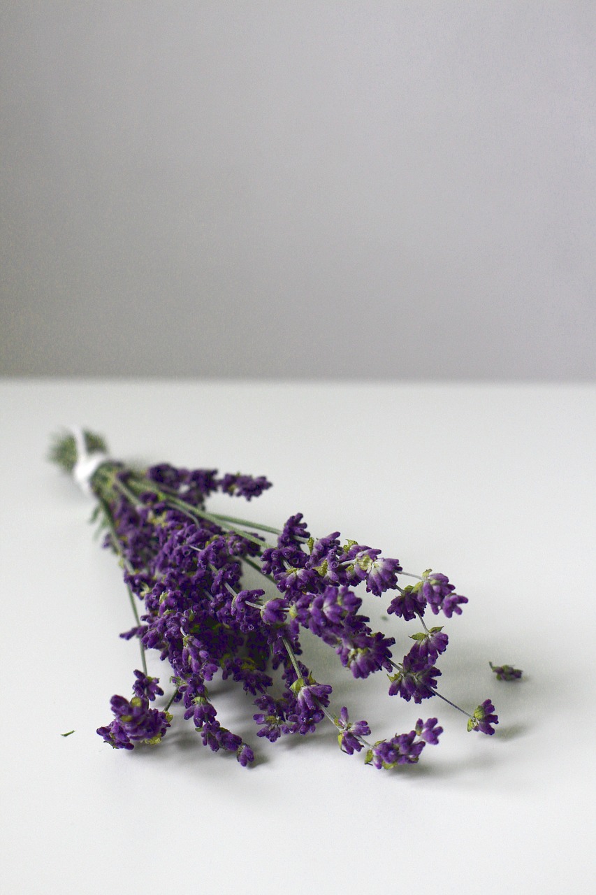 lavender lavender blossom flower free photo