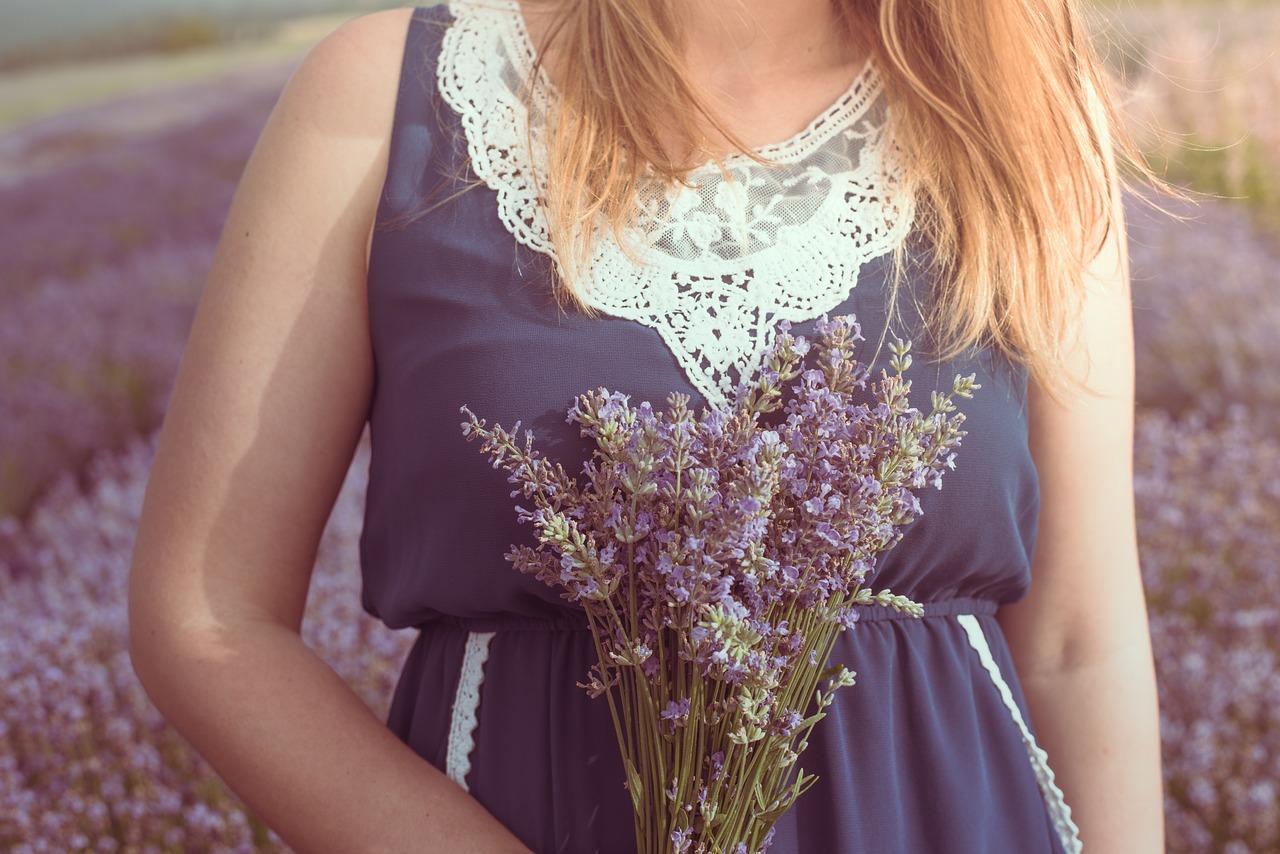 lavender  flower  woman free photo