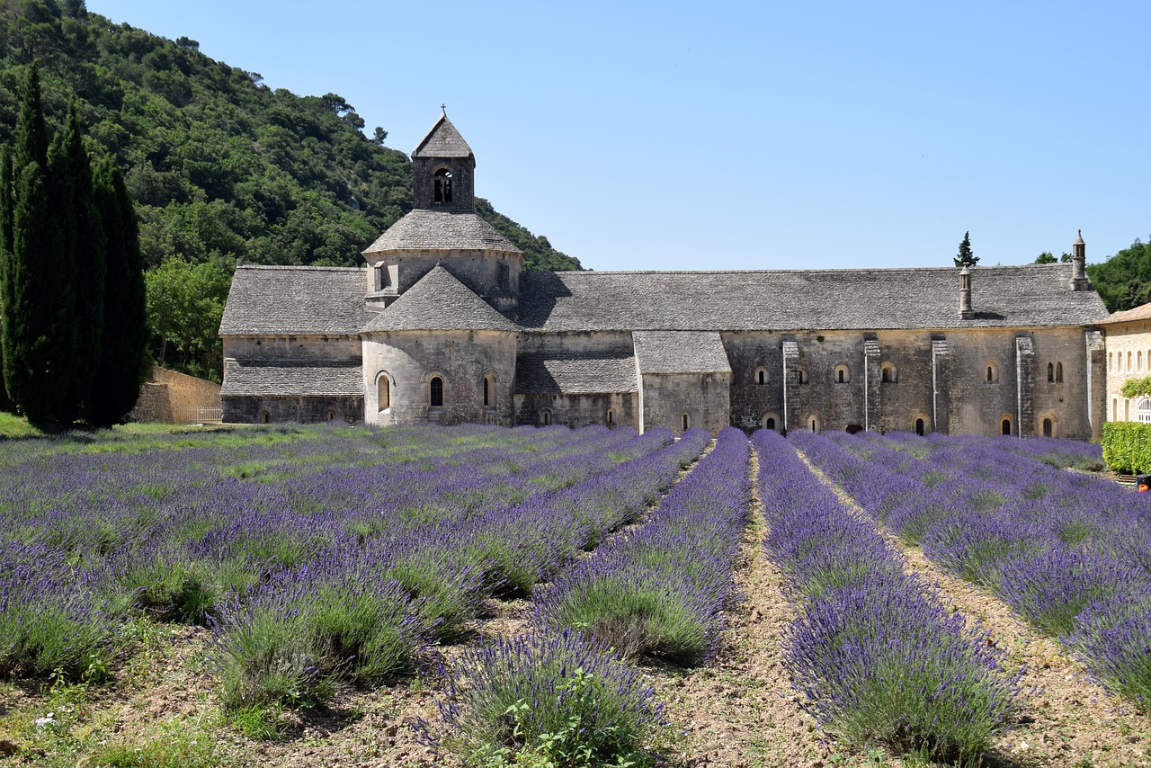 lavender  abbey  architecture free photo