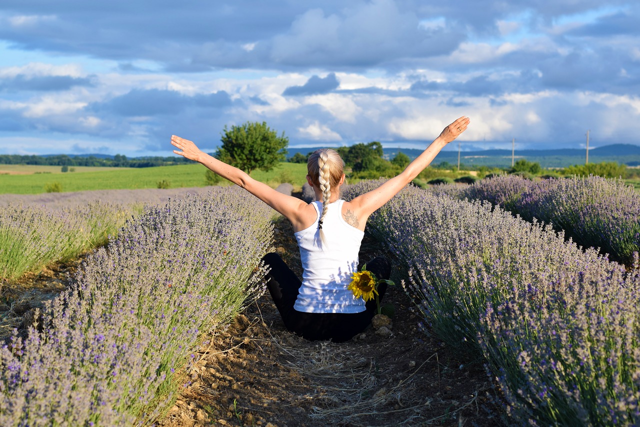 lavender  woman  field free photo