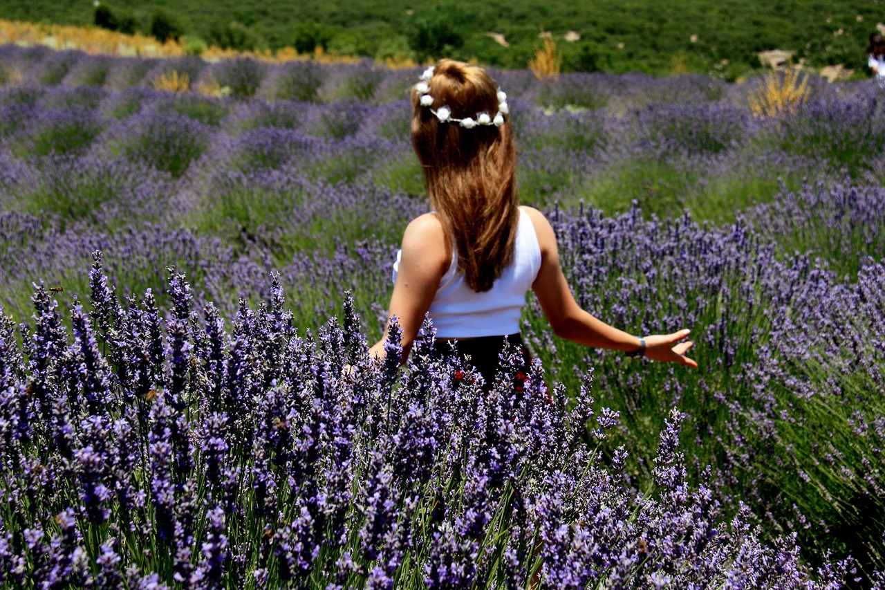 lavender  young girl  happy free photo