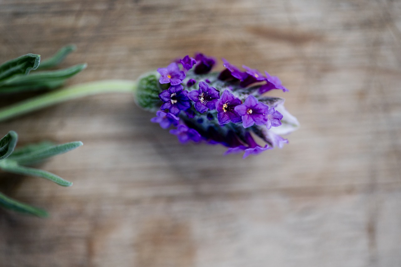 lavender  lavender on table  wood table with flower free photo