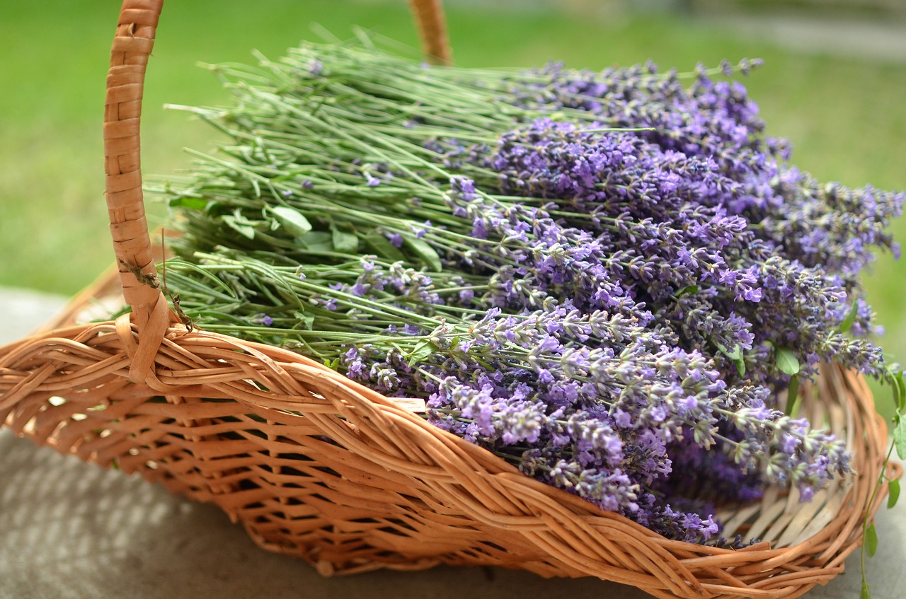 lavender  basket  bee free photo