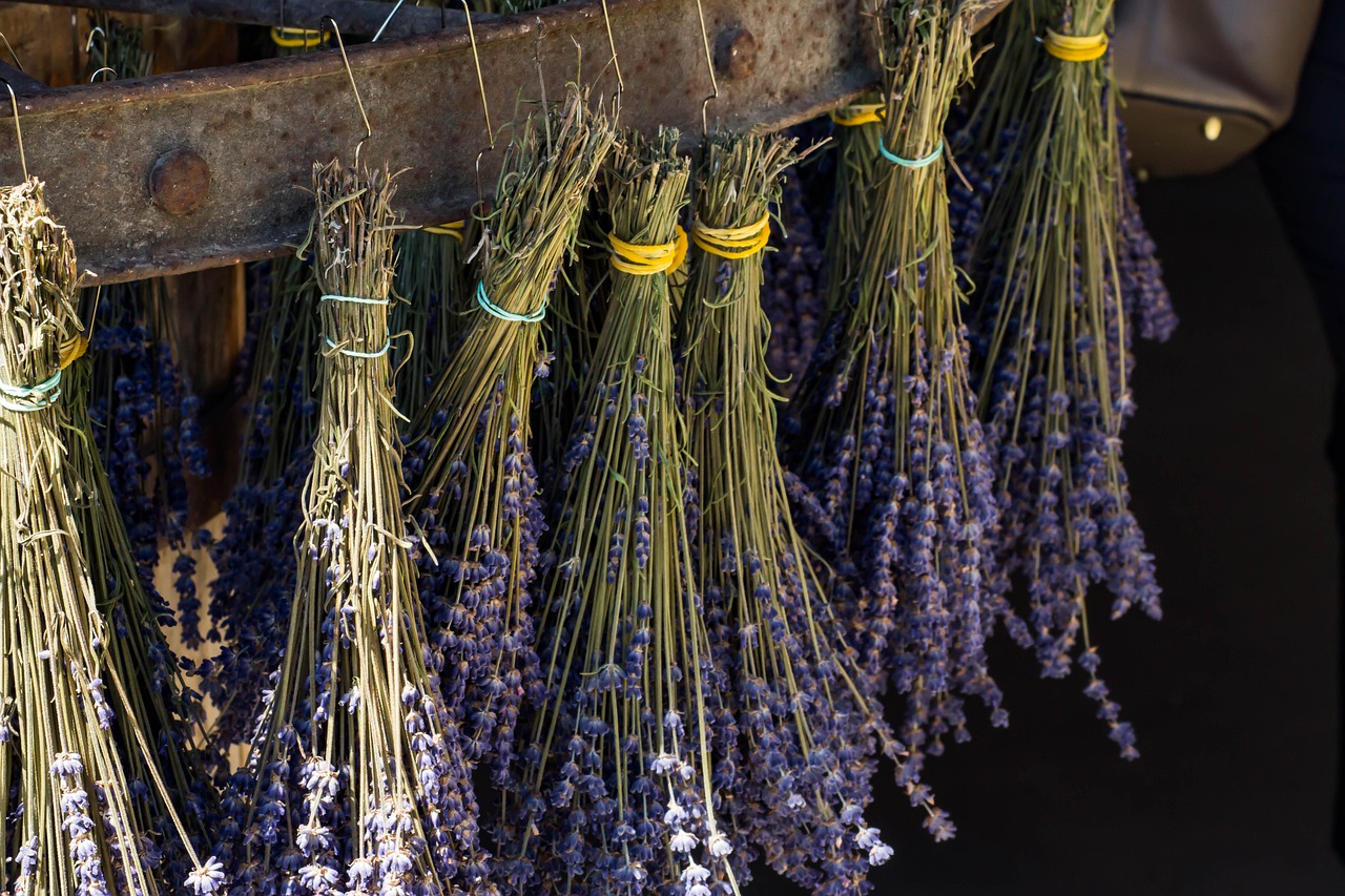 lavender  grass  harvest free photo