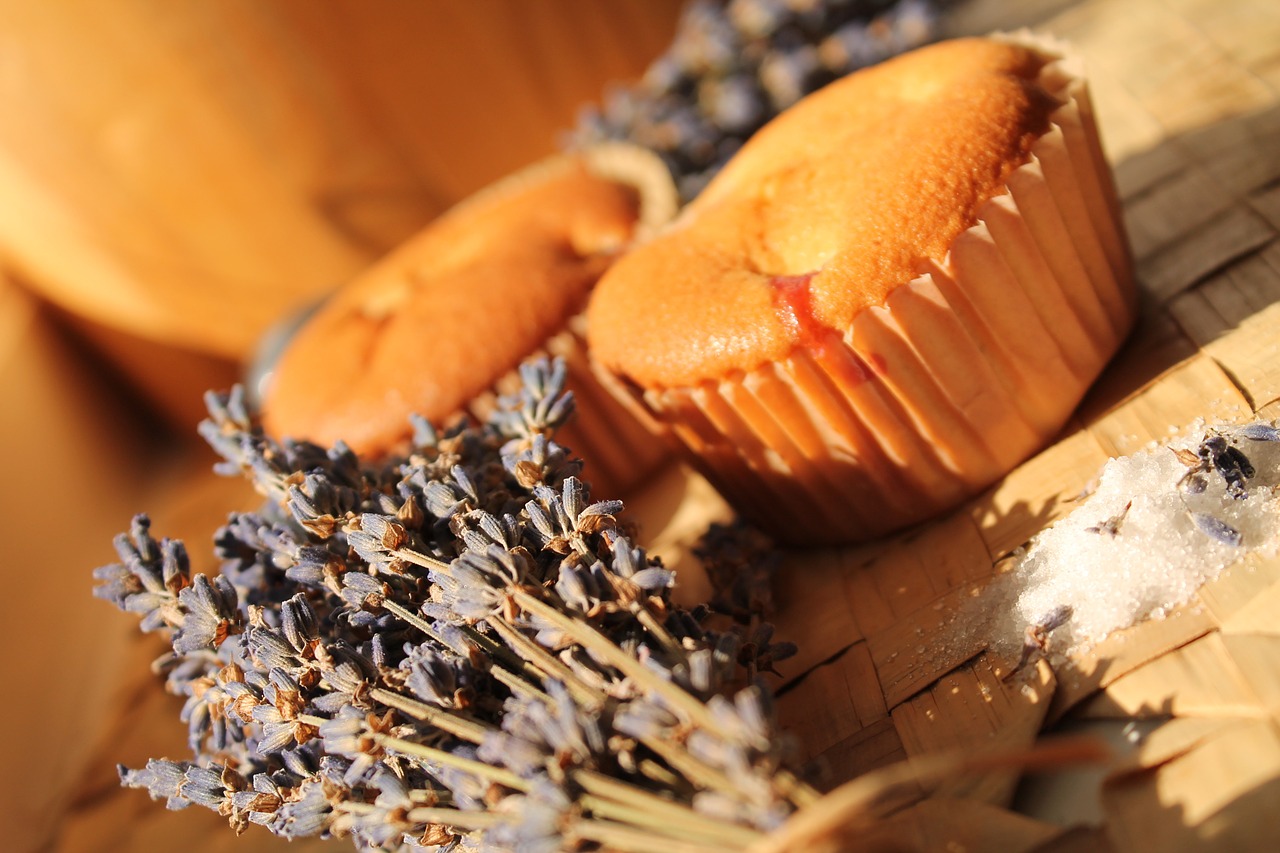 lavender muffin cake free photo