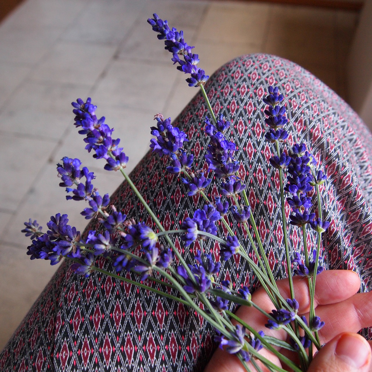 lavender twigs woman free photo