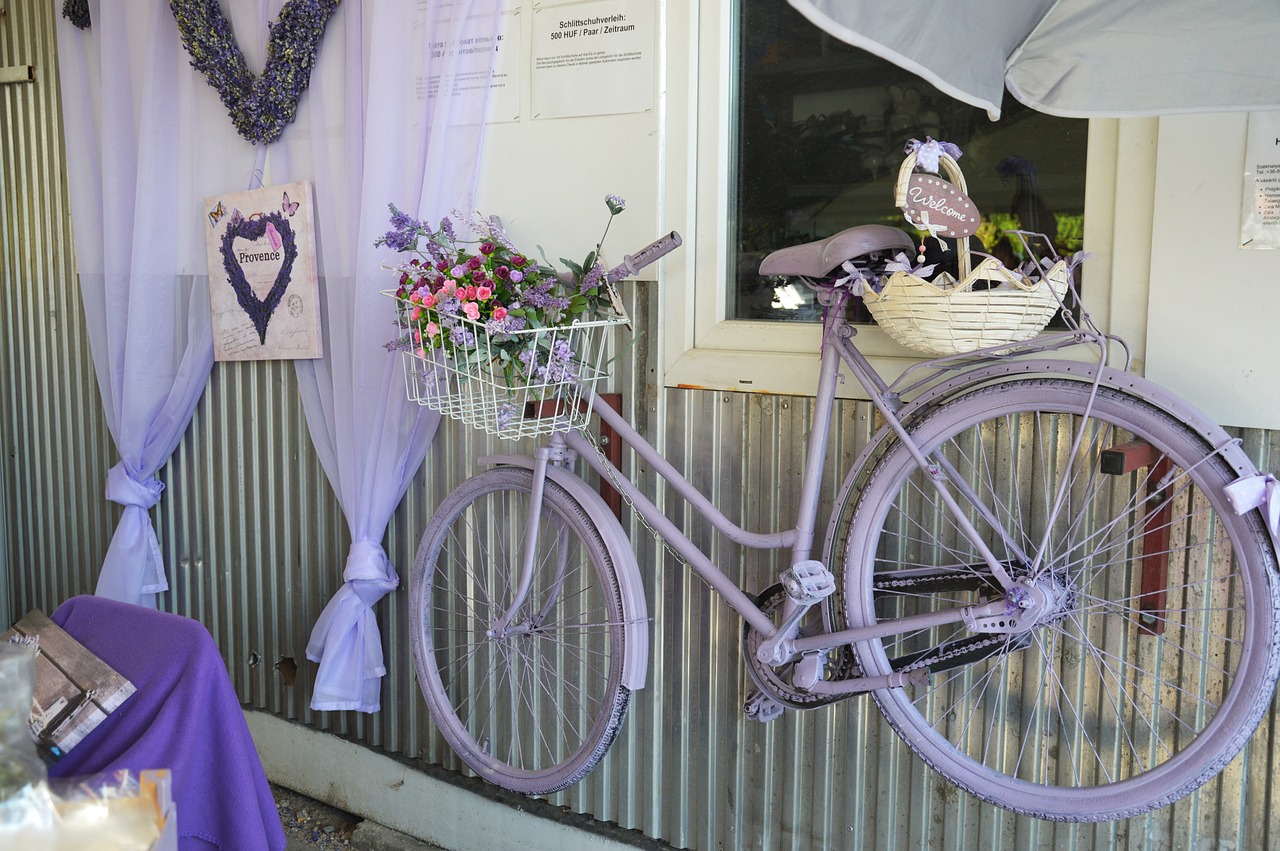 lavender bike purple free photo