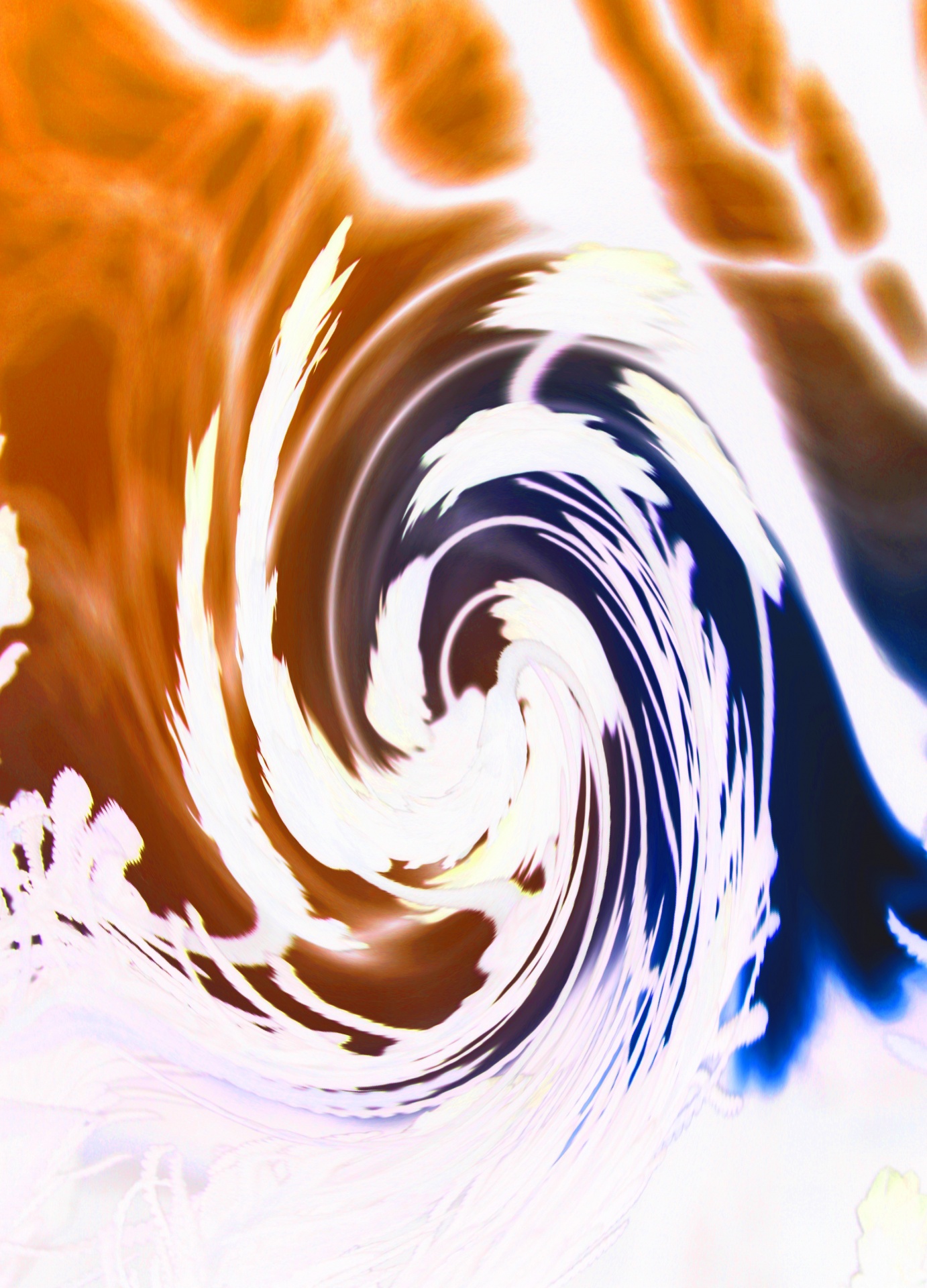 twist twirl spiral free photo