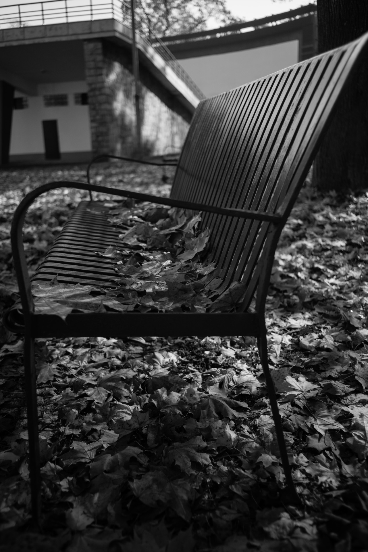 bench park autumn free photo