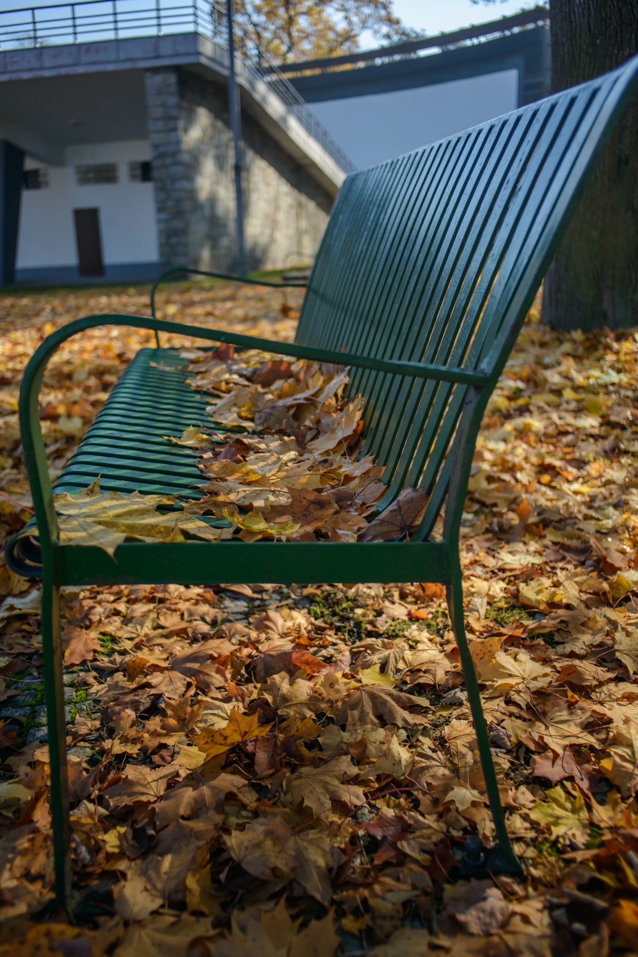 bench park autumn free photo