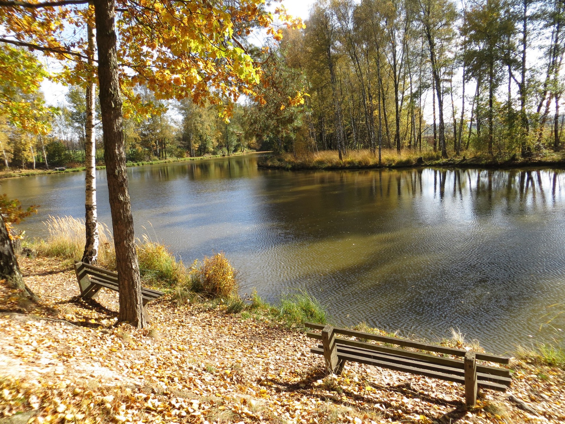 benches pond autumn free photo