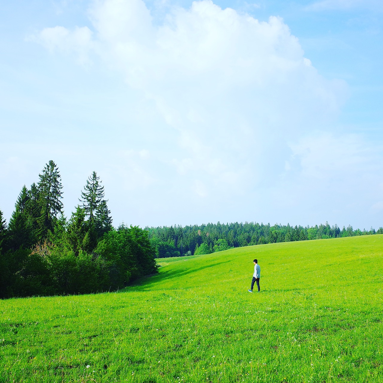 lawn green the scenery free photo