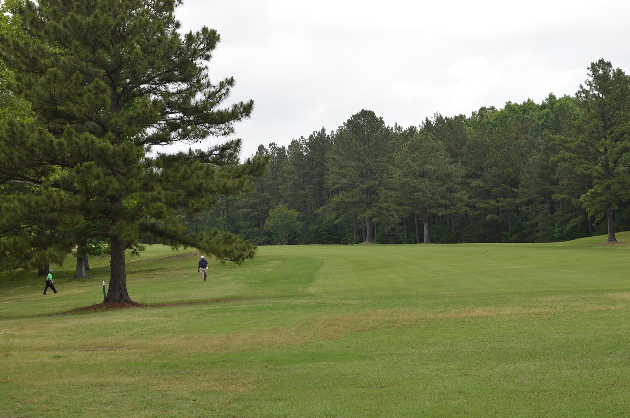 lawn  golf  fairway free photo