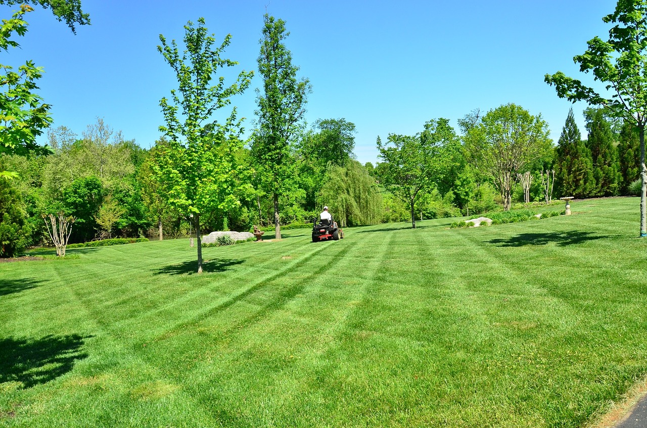 lawn care lawn maintenance lawn services free photo