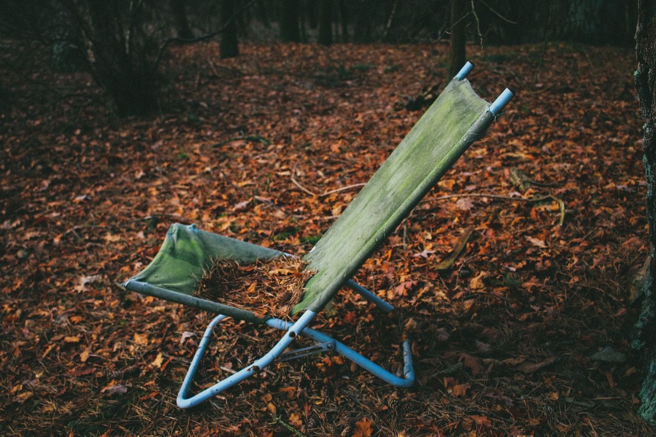 lawn chair chair fall free photo