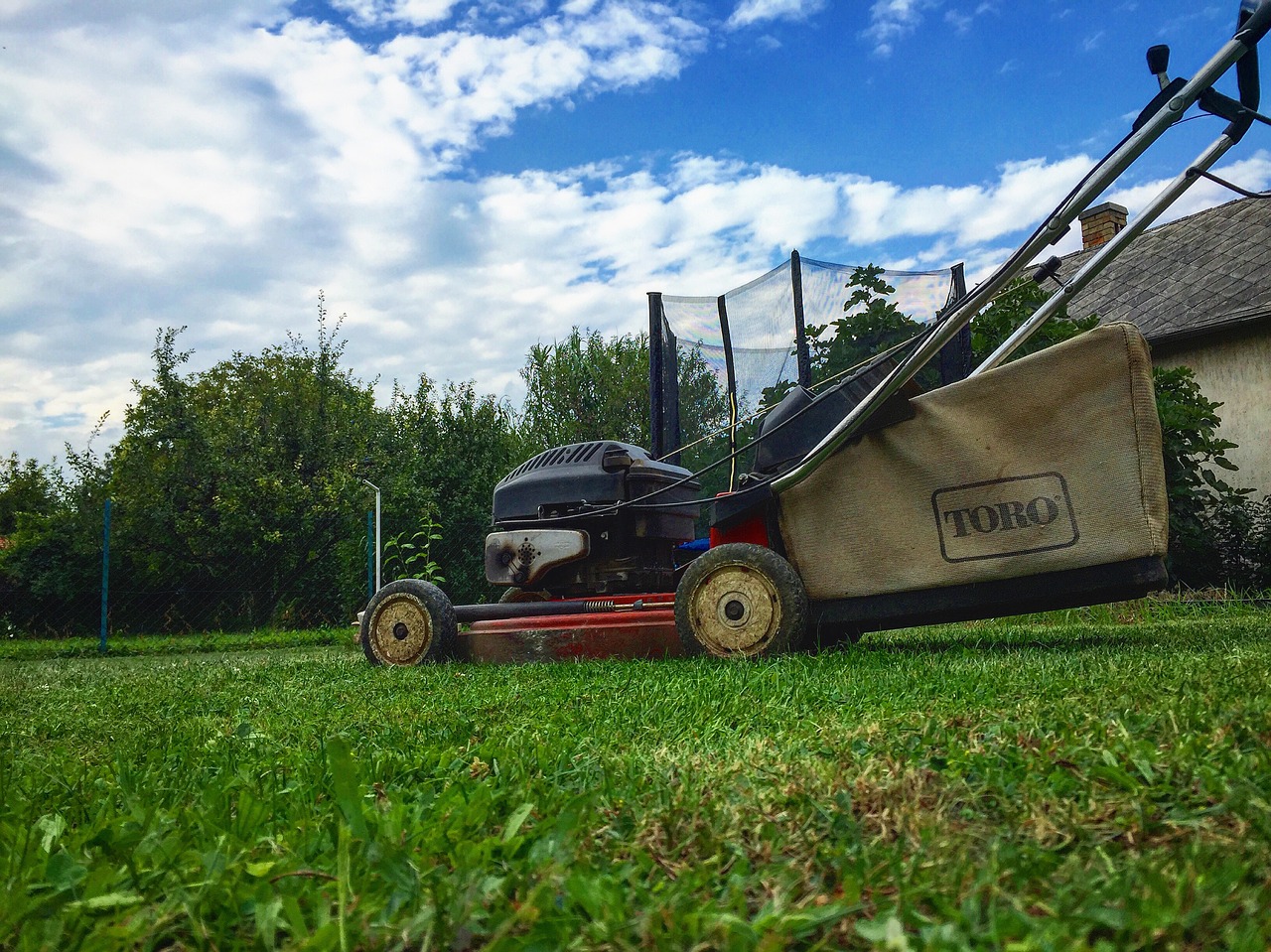 lawn mower nature blue free photo