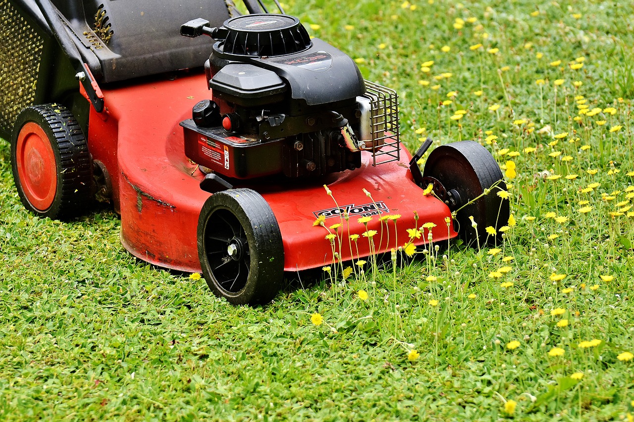 lawn mower mow lawn mowing free photo