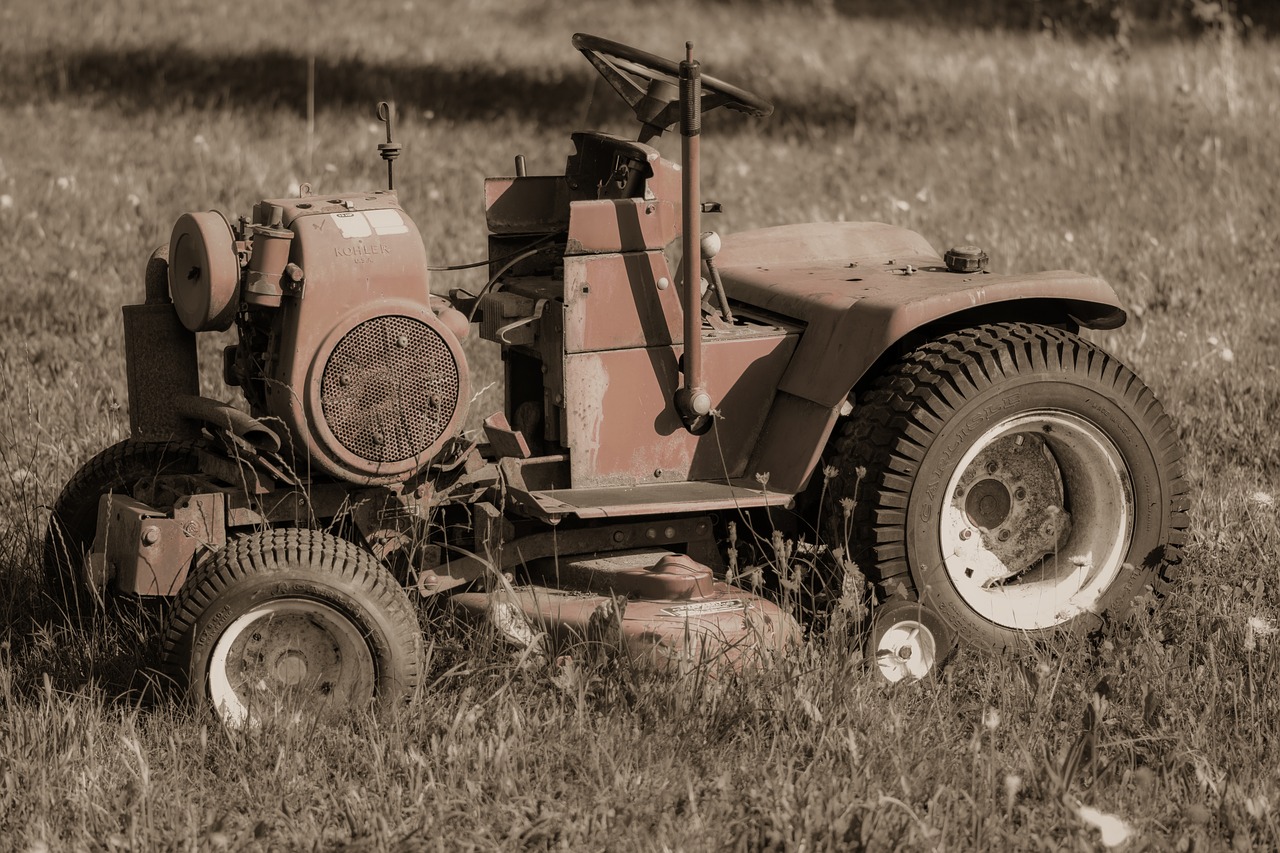 lawn mower  weehl horse  garden free photo