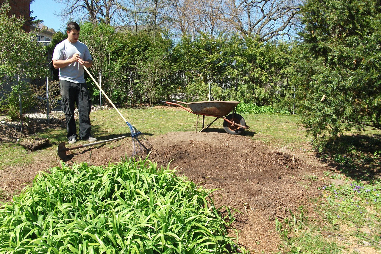 lawn restoration gardening horticulture free photo