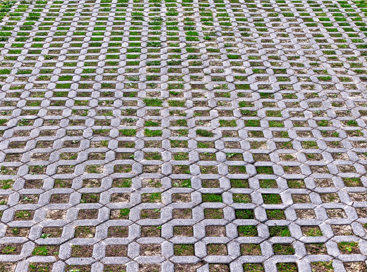 lawn stones  lawn grid  patch free photo