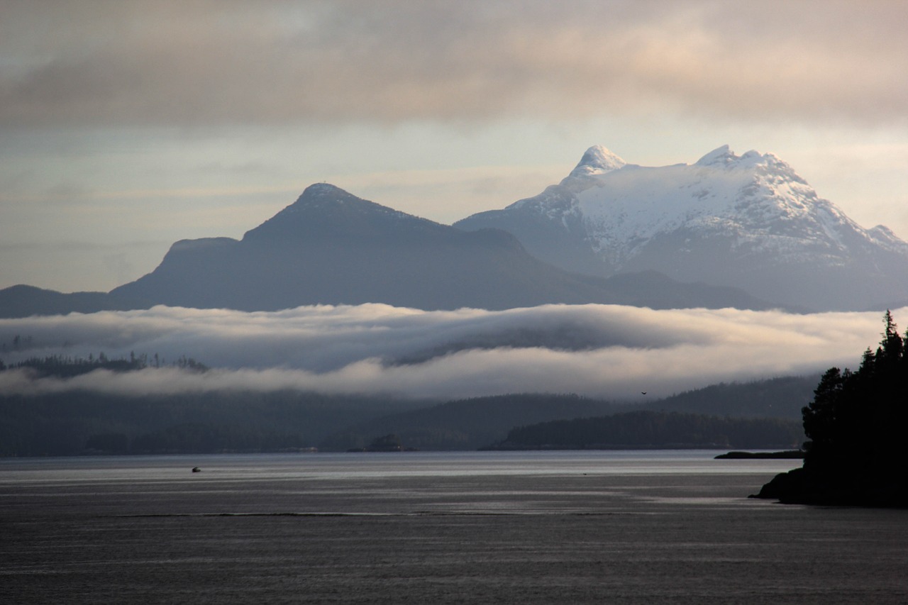 layer of fog alaska morning morning sight free photo