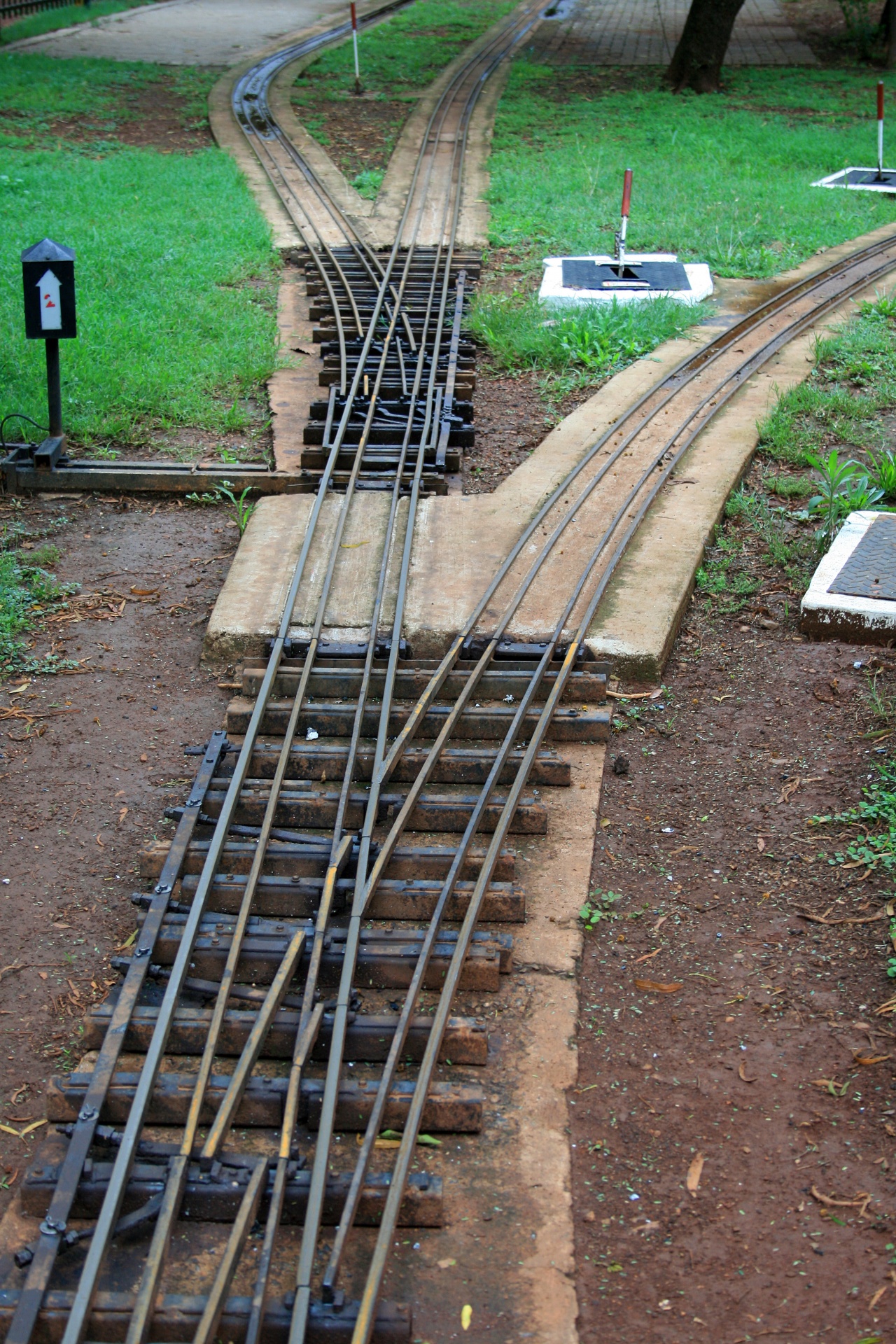 track train narrow free photo