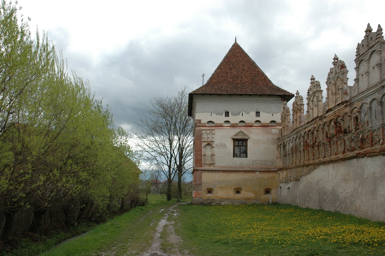 lazarea castle transylvanian rich free photo