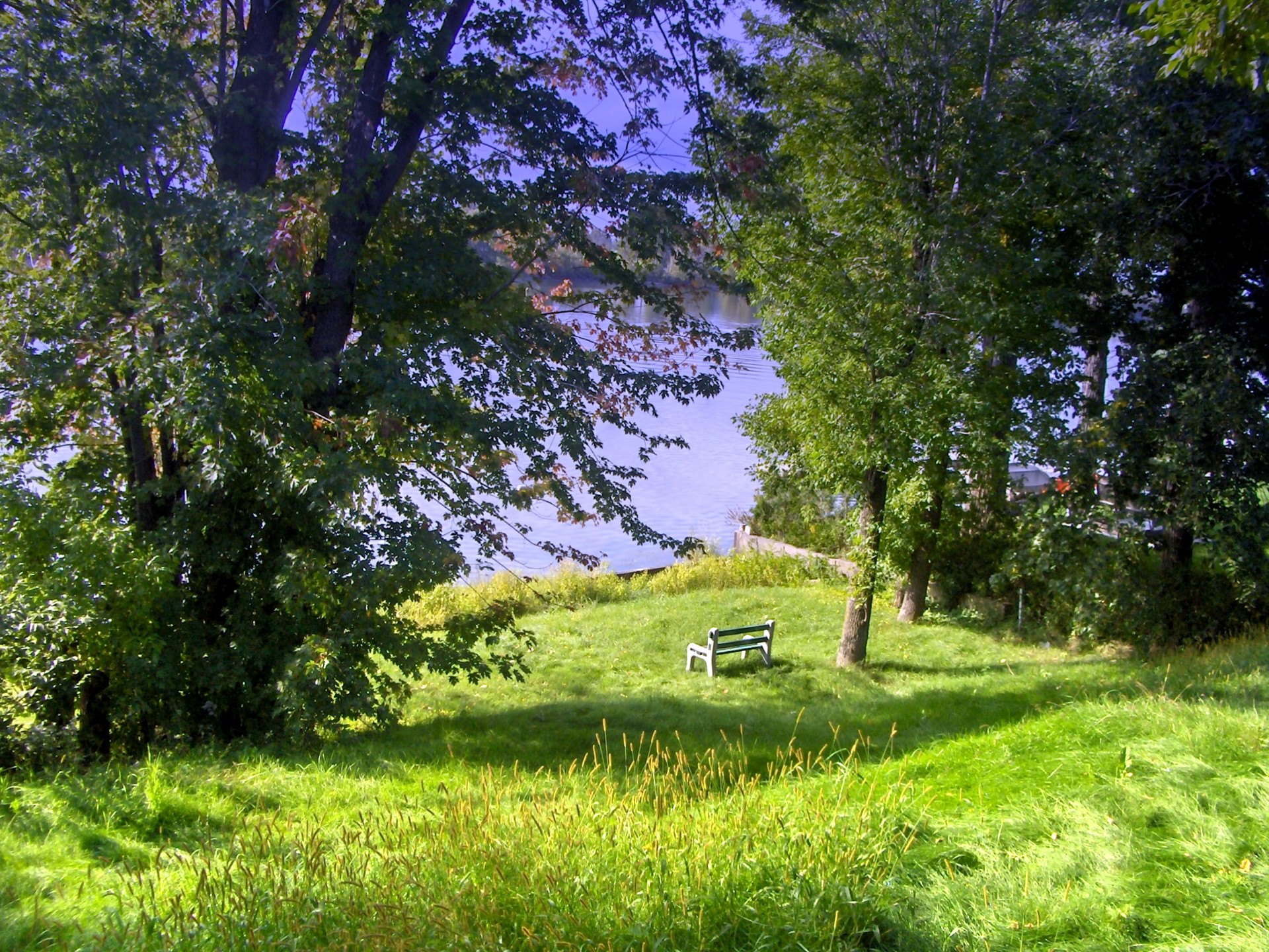 bench river water free photo