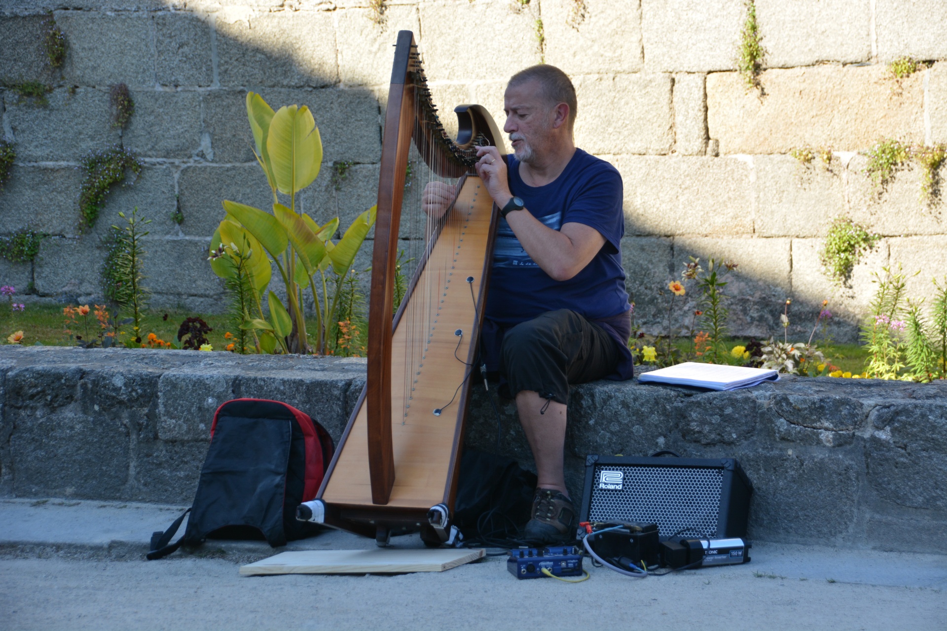 music musician harp free photo