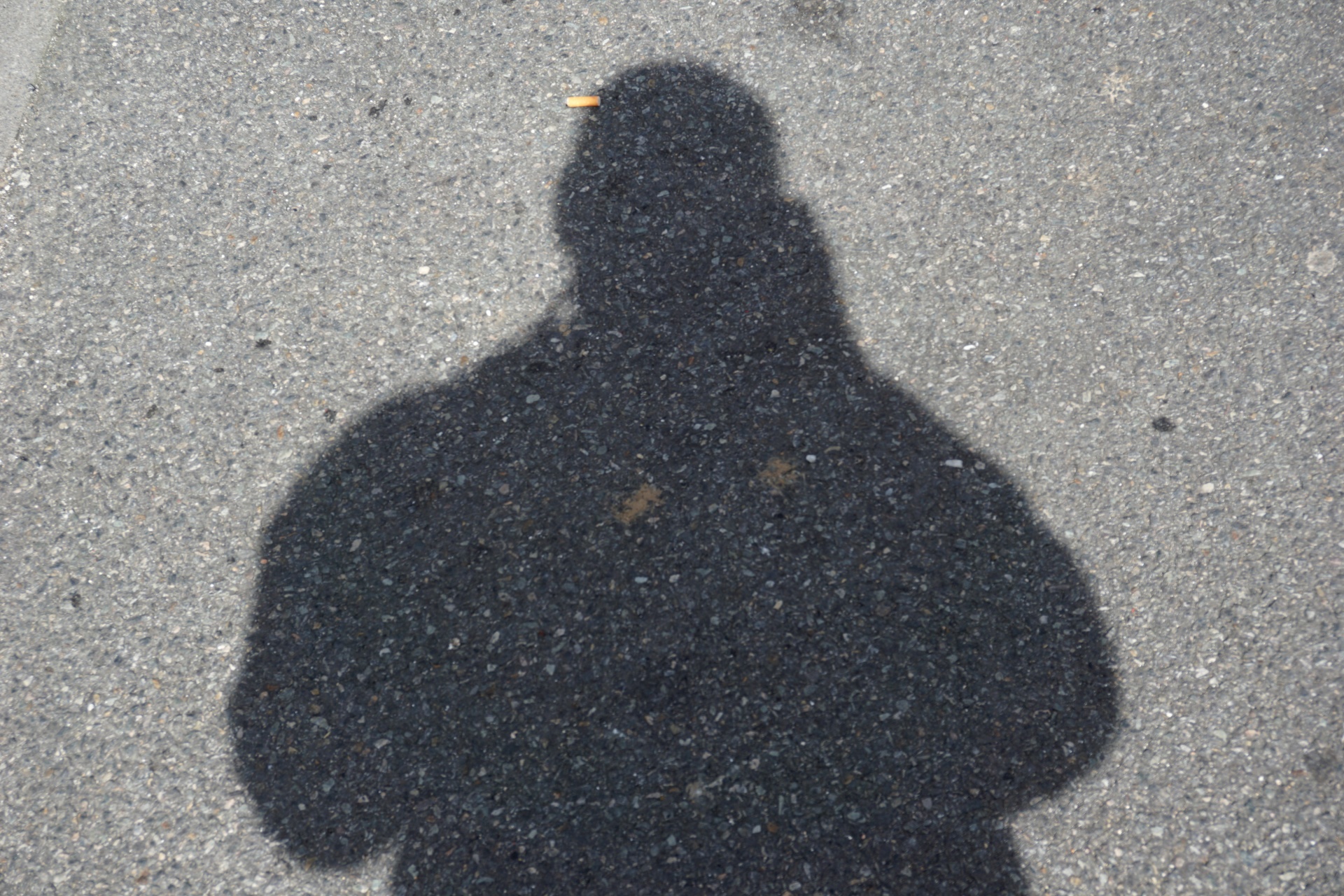 shadow photographer character free photo