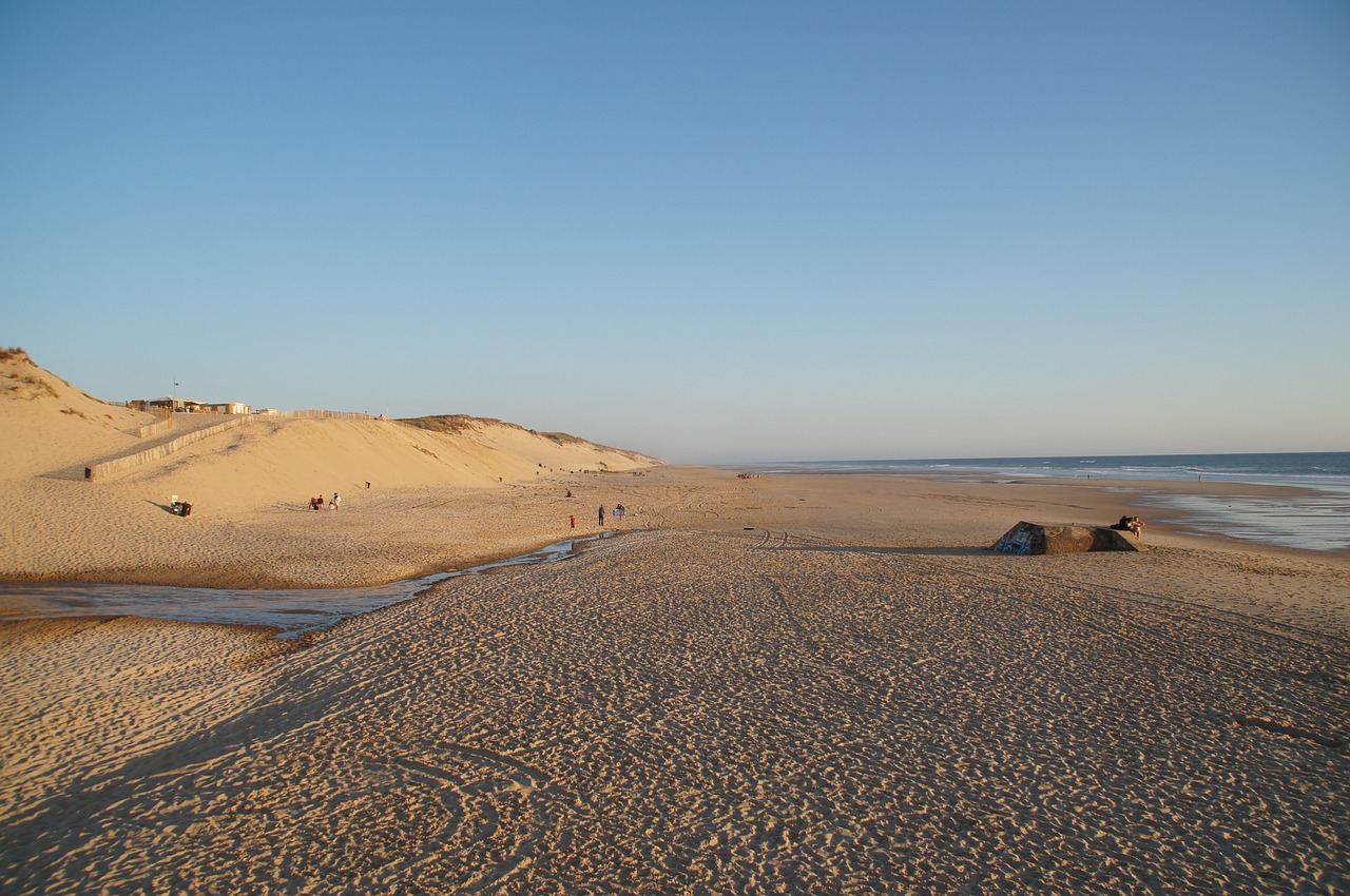 le pin sec biscarrosse atlantic free photo