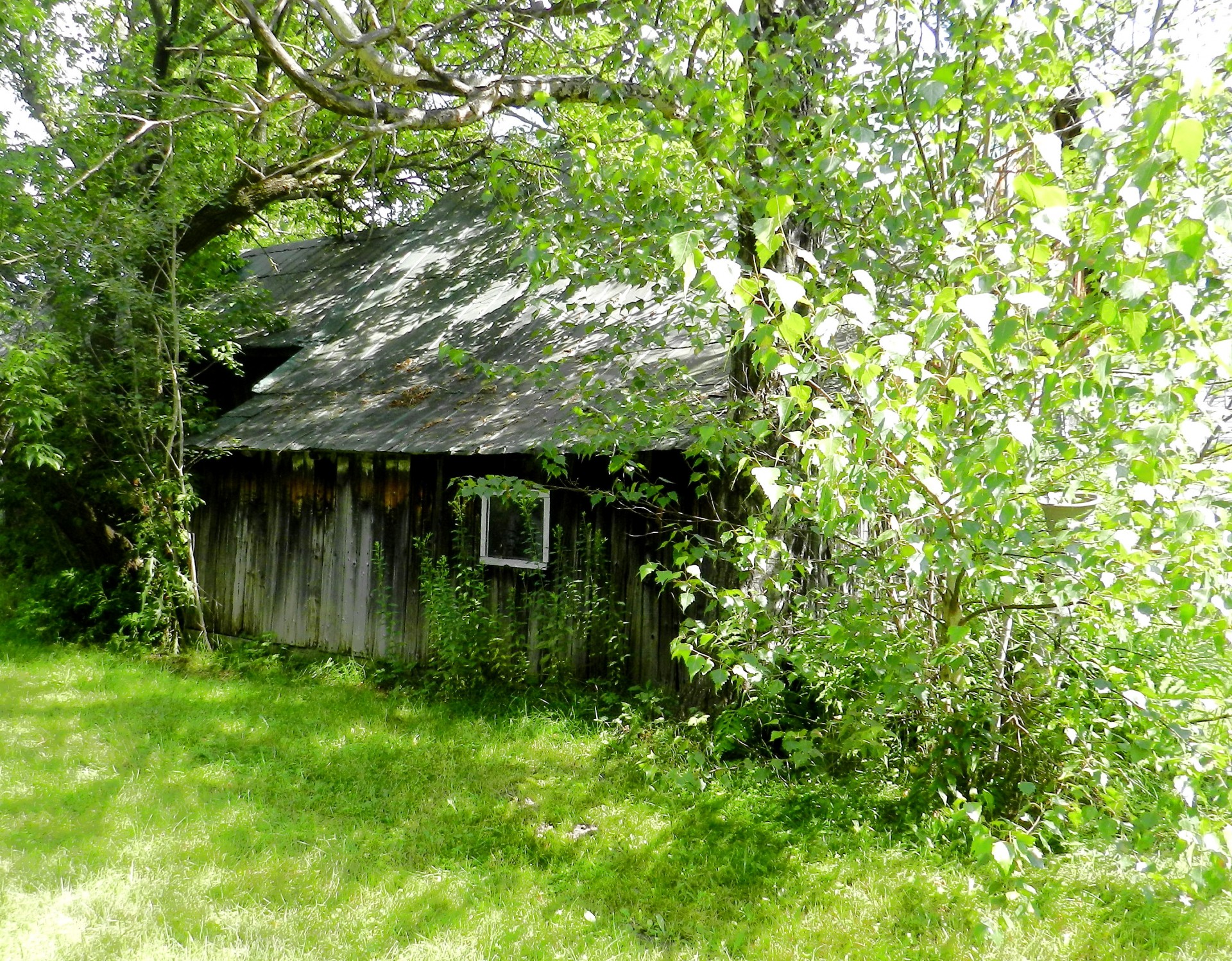 shed barn antique free photo