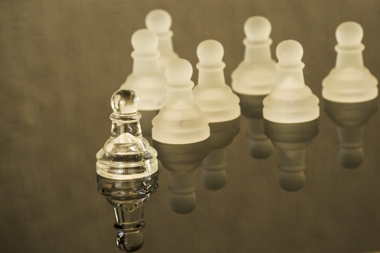 leadership  leader  chess free photo