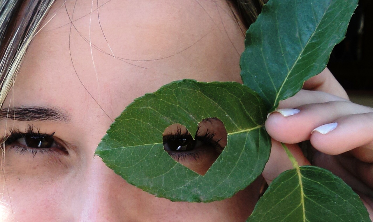 leaf eyes green leaves free photo