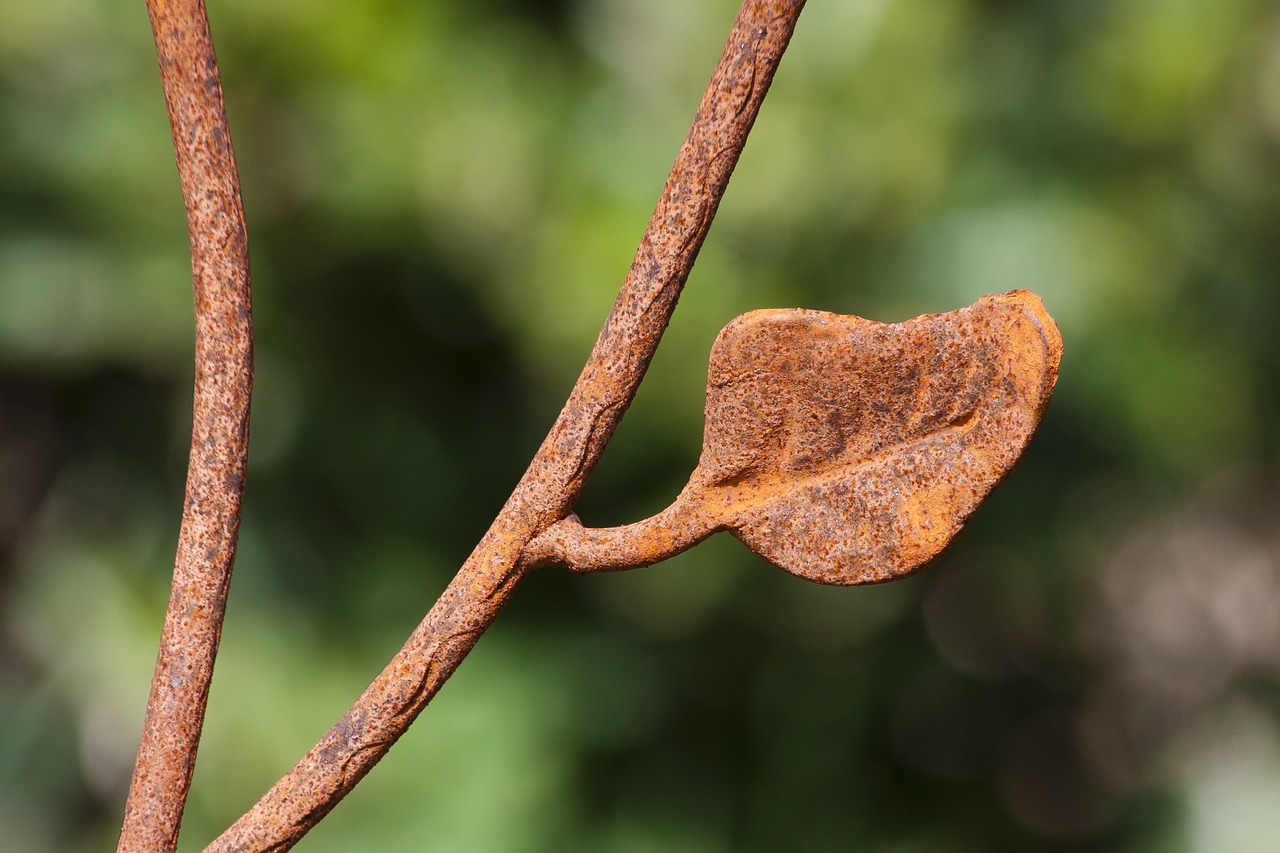 leaf fence iron fence free photo