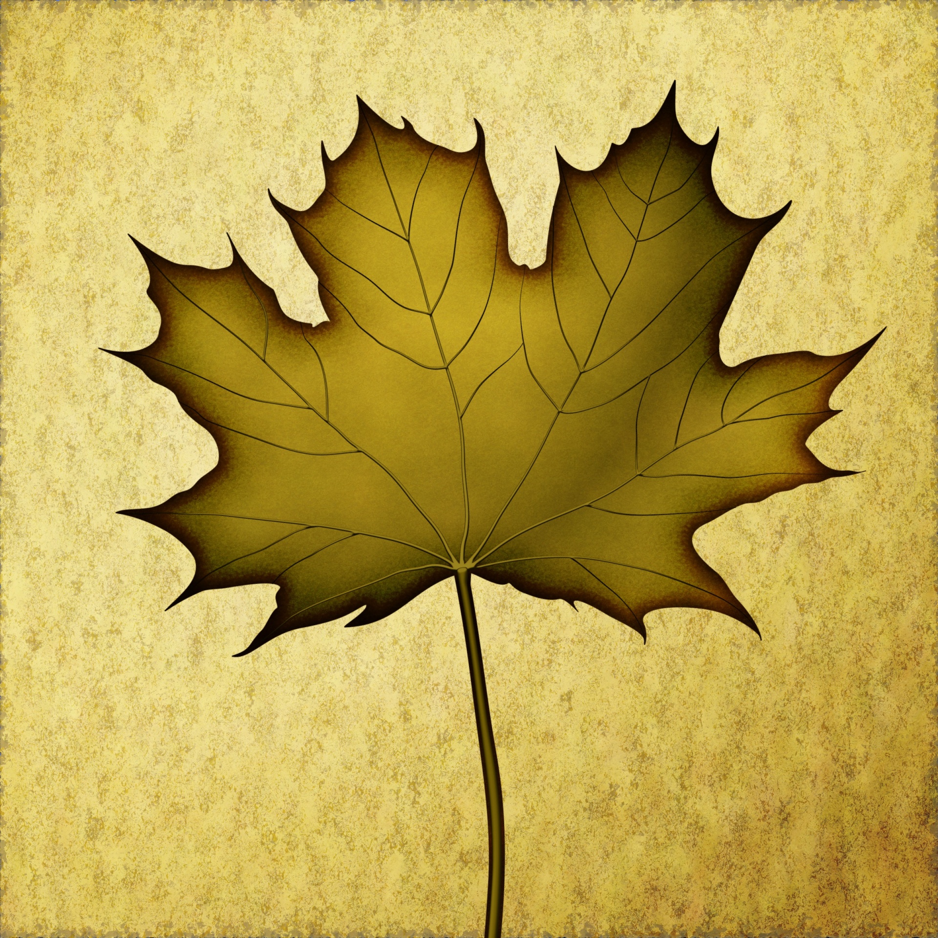 leaf autumn art free photo