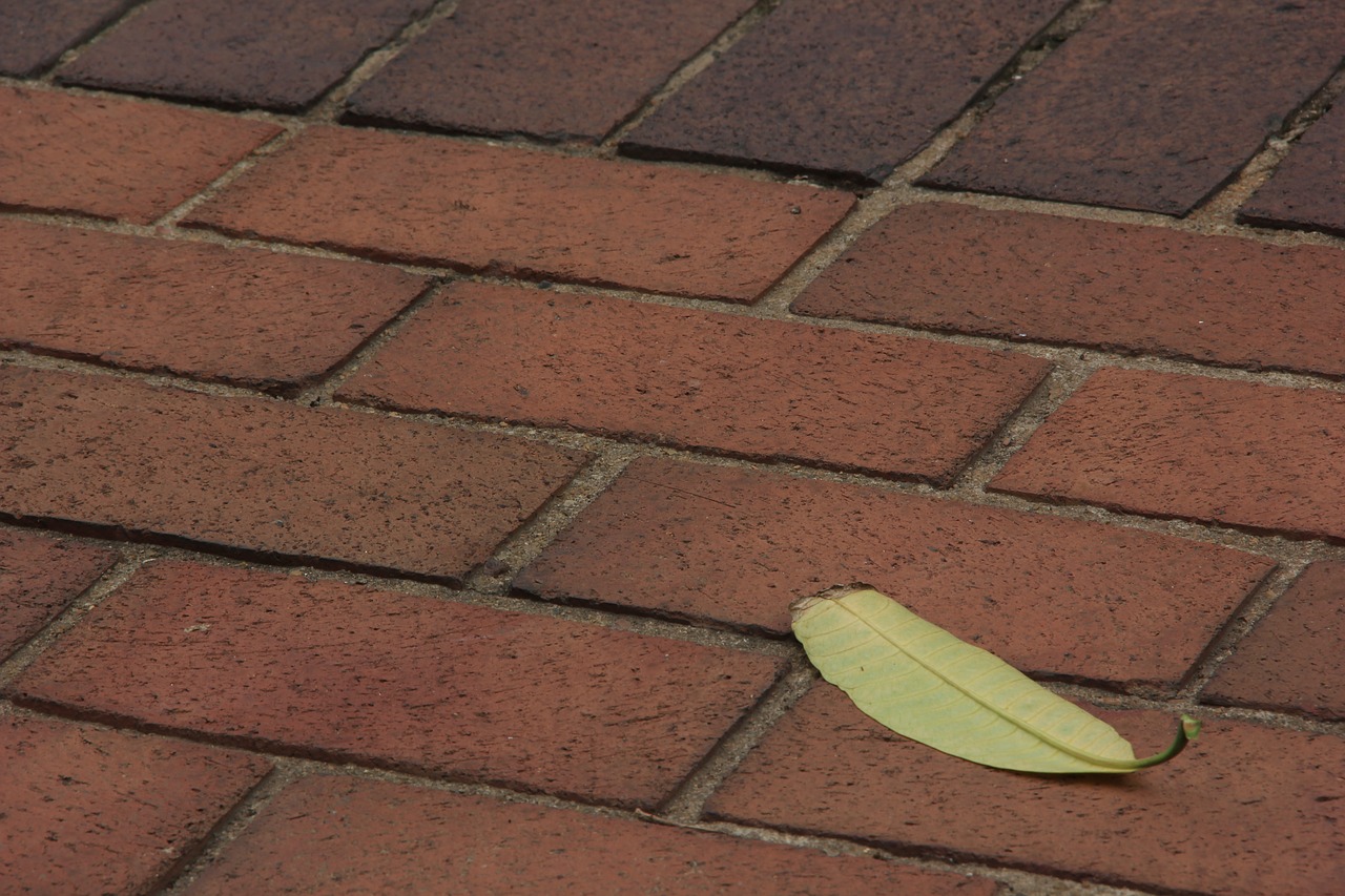 leaf brick floor free photo