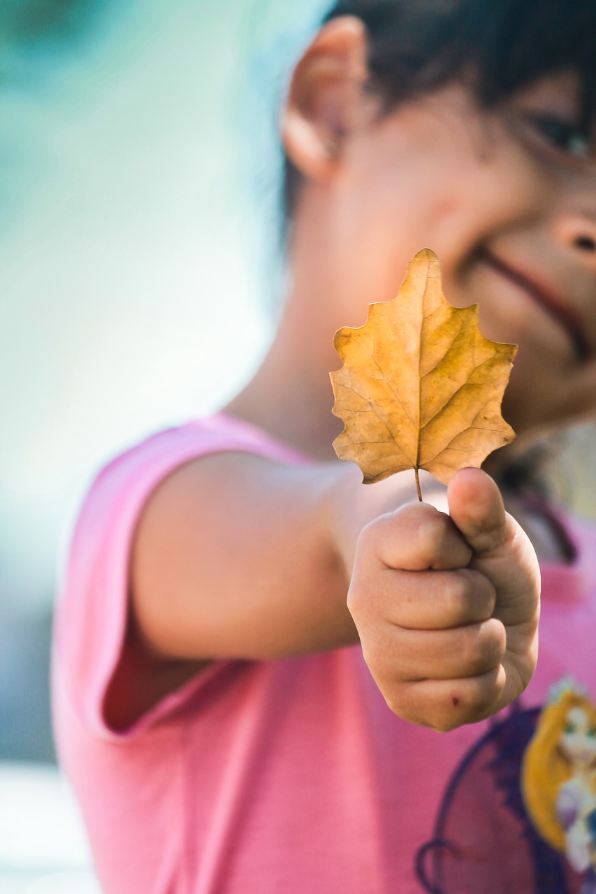 leaf autumn girl with sheet free photo