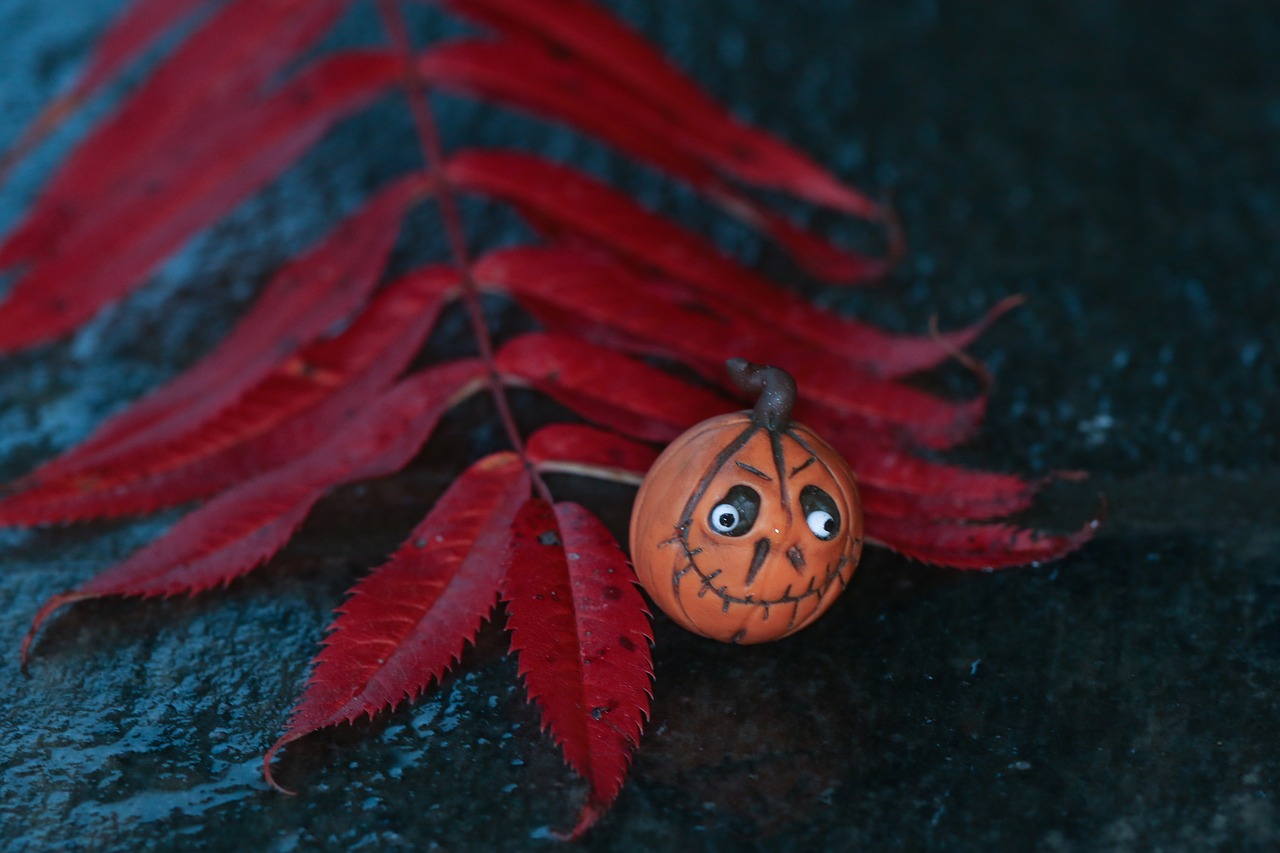 leaf autumn leaf pumkin free photo