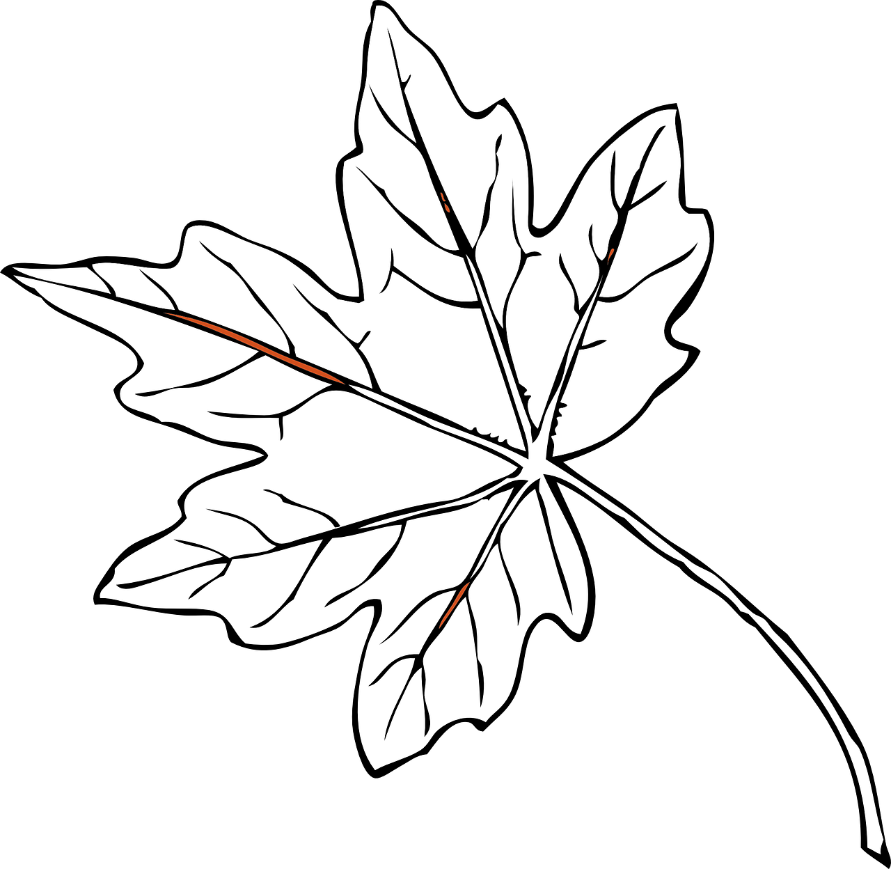 leaf maple single free photo