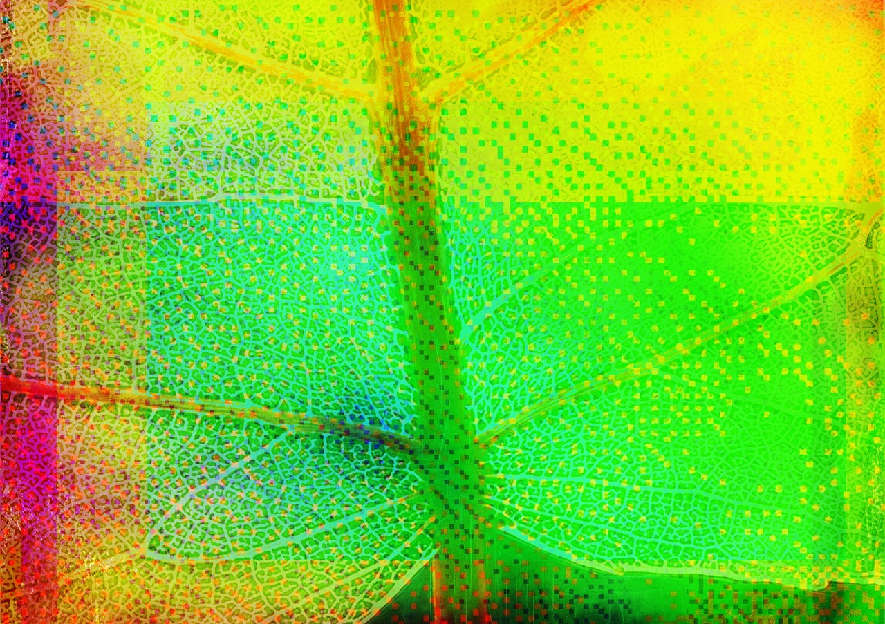 leaf abstract graphic free photo