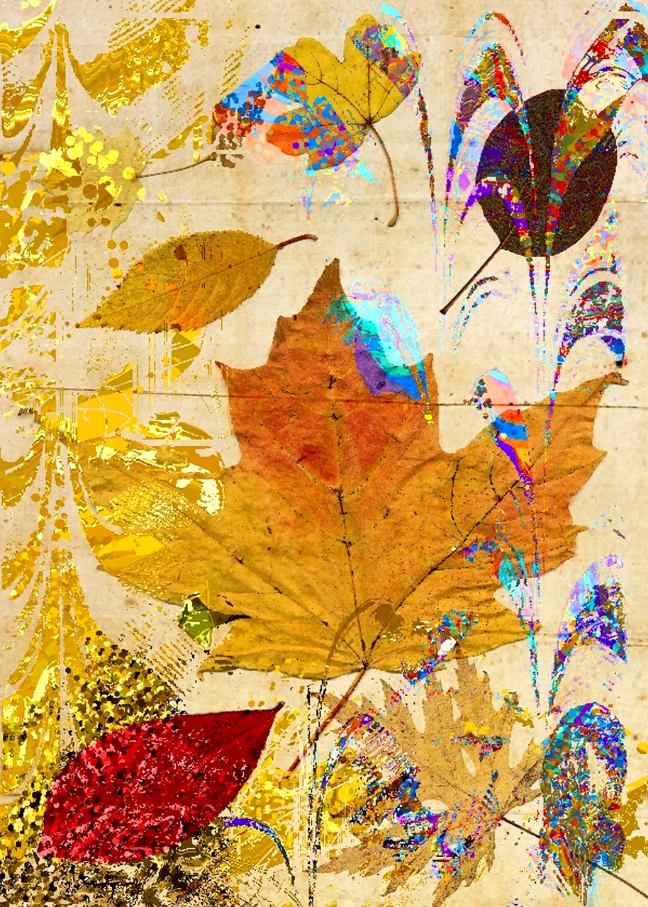 leaf collage autumn leaves free photo
