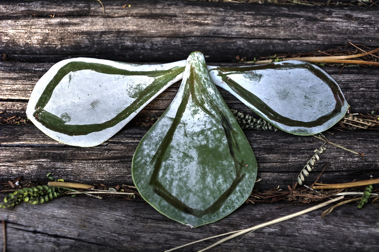 leaf pattern textures garden free photo