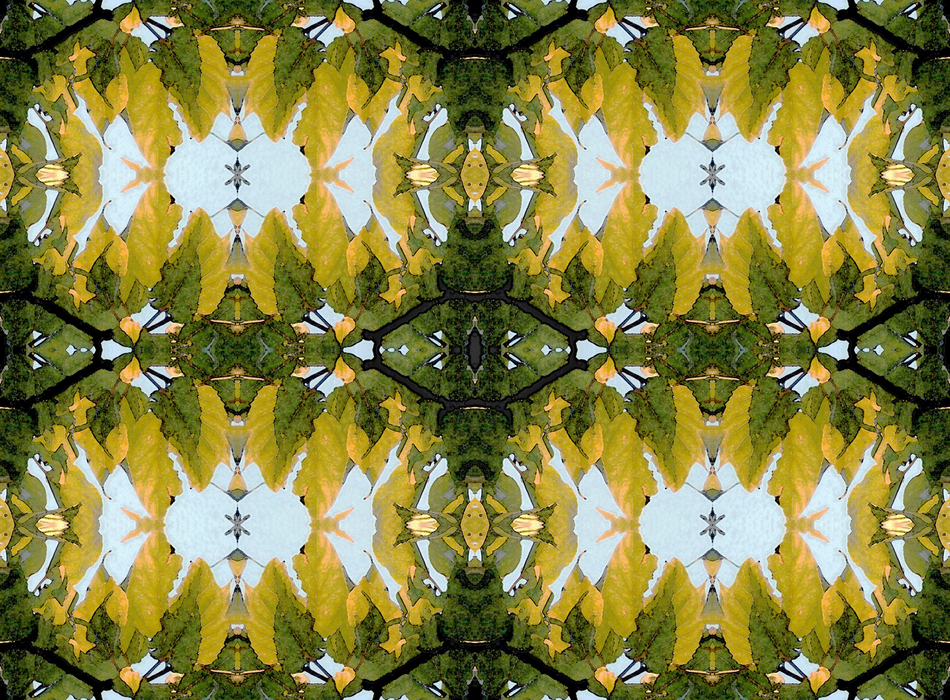 leaf pattern reflected free photo