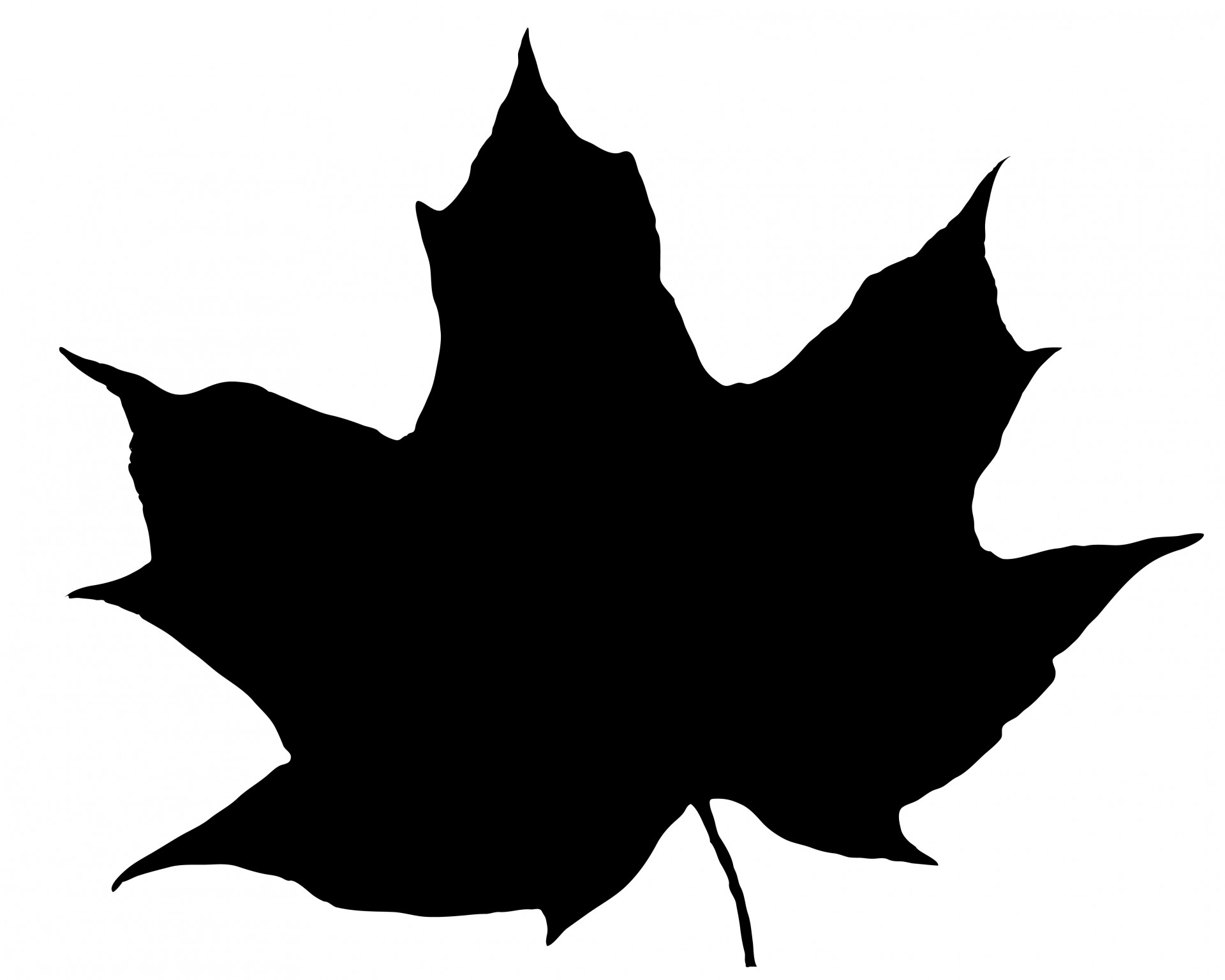 leaf silhouette black free photo