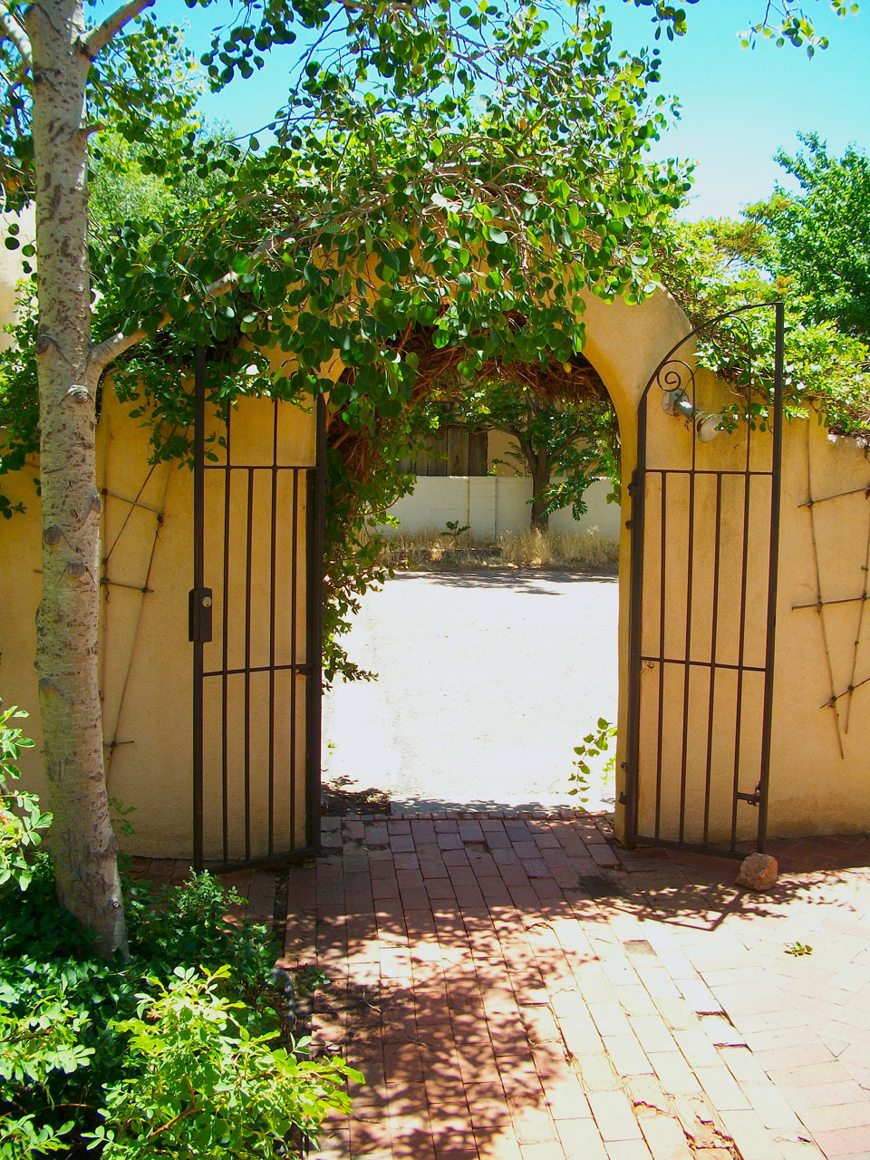 gate door plants free photo